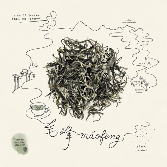 Yunnan Mao Feng Green Tea